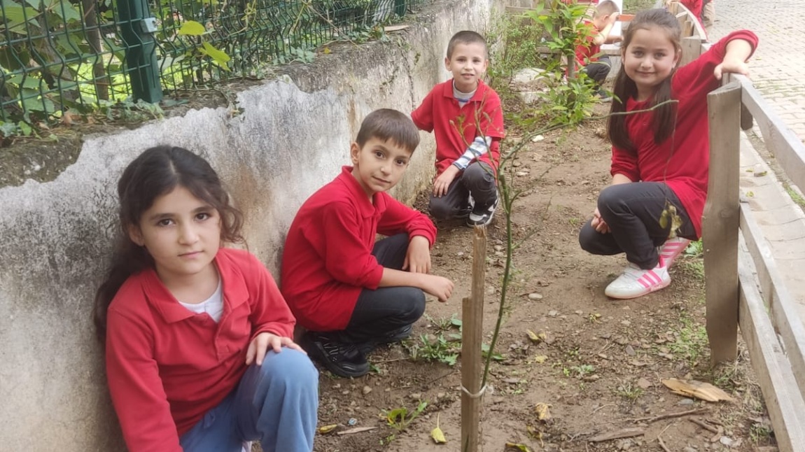 Yeşil Vatan - Benim Okulum Geleceğe ÇARE
